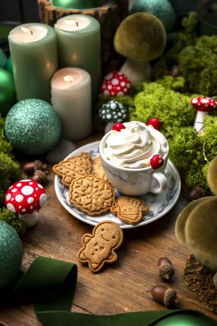 Hotels Bourgogne Qualité